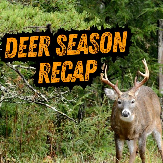 TW 419 - Deer Season Recap - podcast episode cover