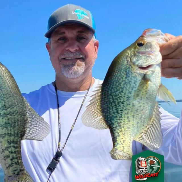 TW 355 - Old Hickory Shootout Crappie Tournament - podcast episode cover