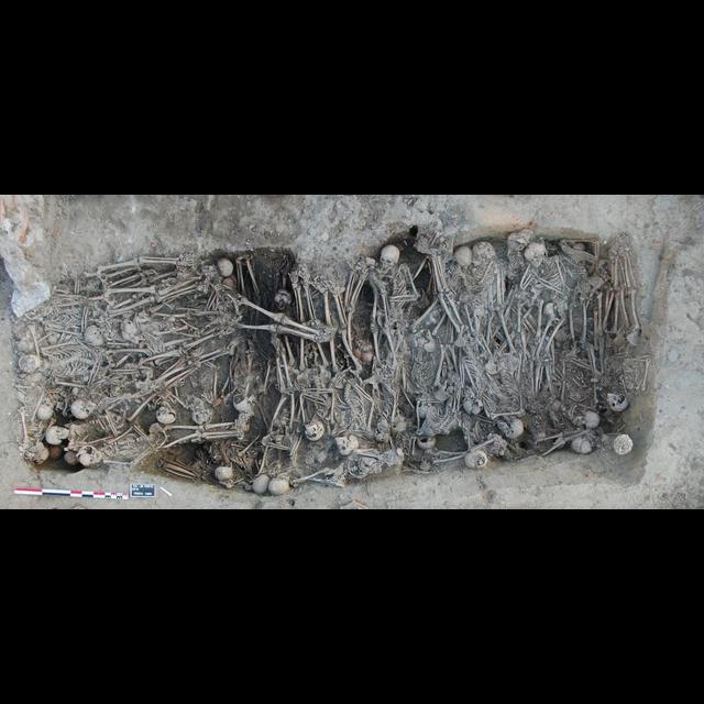 Teeth Tell Black Death Genetic Tale - podcast episode cover
