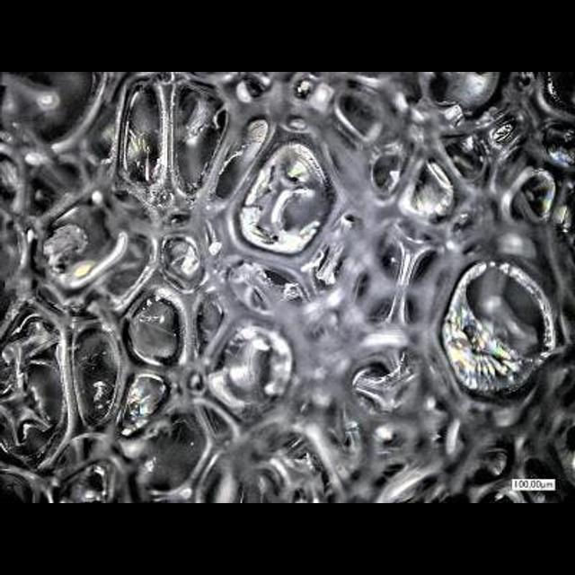 Chemical Tweak Recycles Polyurethane into Glue - podcast episode cover