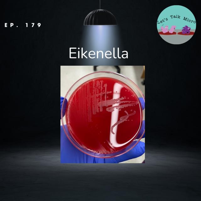 179: Eikenella - podcast episode cover