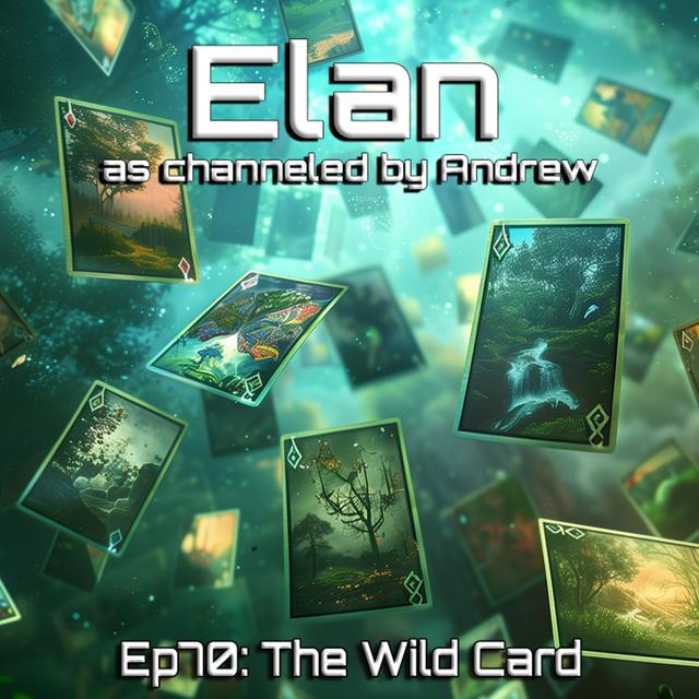 EP70: The Wild Card - podcast episode cover