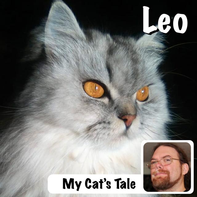 My Cat’s Tale – Leo - podcast episode cover