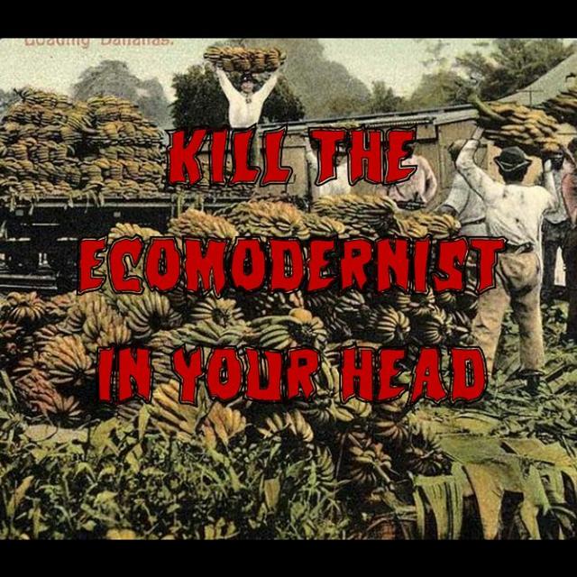 Premium – 271. Kill the Ecomodernist in Your Head - podcast episode cover