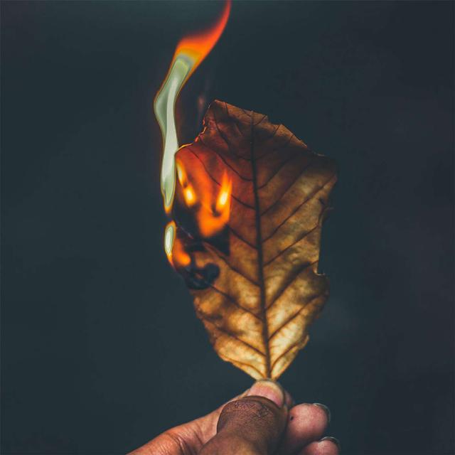 VANESSA CAVANAGH, RACHAEL CAVANAGH, & DEB SWAN on Ancestral Fire Regimes /205 - podcast episode cover