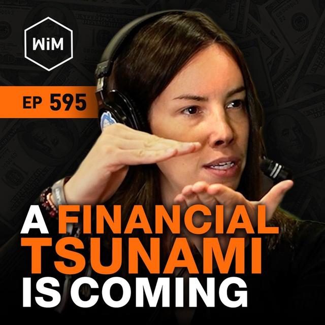 Bitcoin Has No Brakes w/ Lyn Alden (WiM595) - podcast episode cover