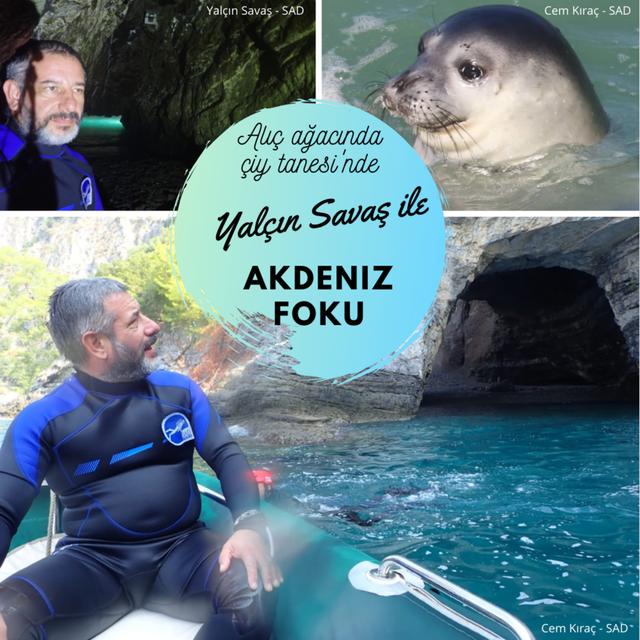 9. Yalçın Savaş ile Akdeniz Foku - podcast episode cover