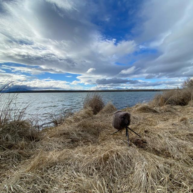 158: Breezy Winter Afternoon Beside Big Lake - podcast episode cover