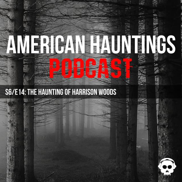 The Haunting Of Harrison Woods - podcast episode cover