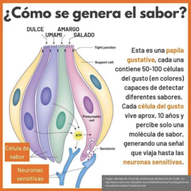 Sabor, olor y un poco de adicción - podcast episode cover