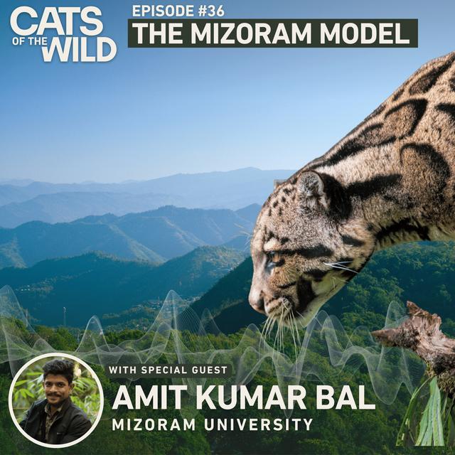The Mizoram Model: Amit Kumar Bal - podcast episode cover