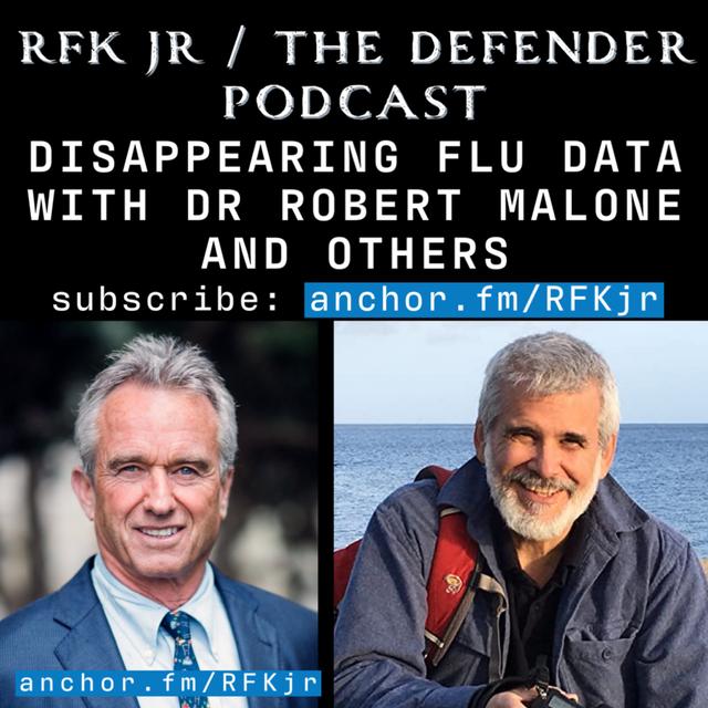Disappearing Flu Data with Dr Robert Malone and Others - podcast episode cover