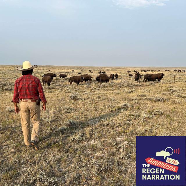 220. The Great Buffalo Restoration on the American Prairie, with ‘world’s top bison wrangler’ Pedro Calderon-Dominguez - podcast episode cover