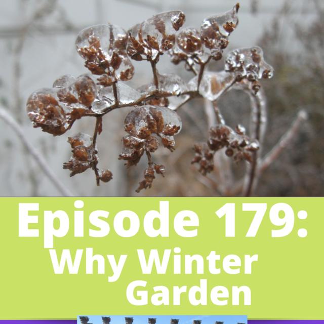 Why Winter Garden - podcast episode cover