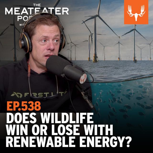 Ep. 538: Does Wildlife Win or Lose With Renewable Energy? - podcast episode cover