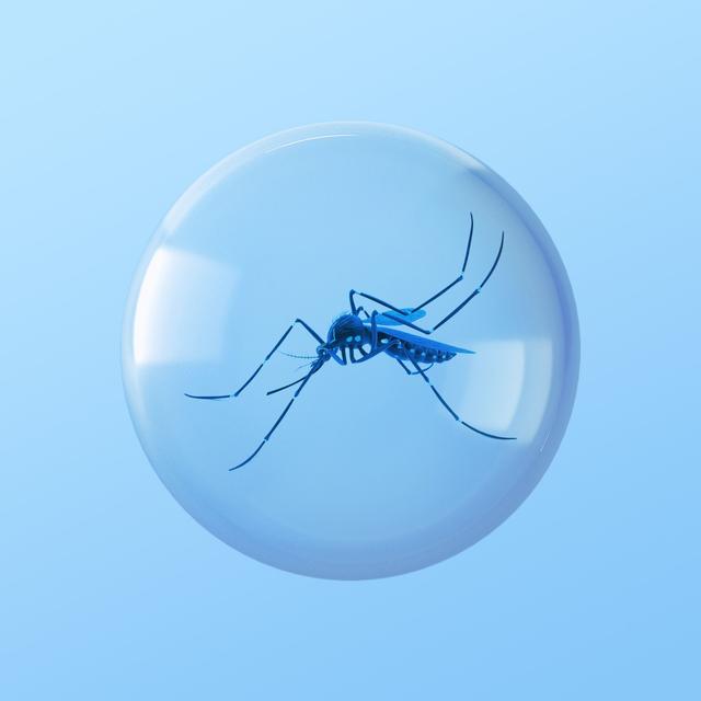 Bug Repellents That Work - podcast episode cover