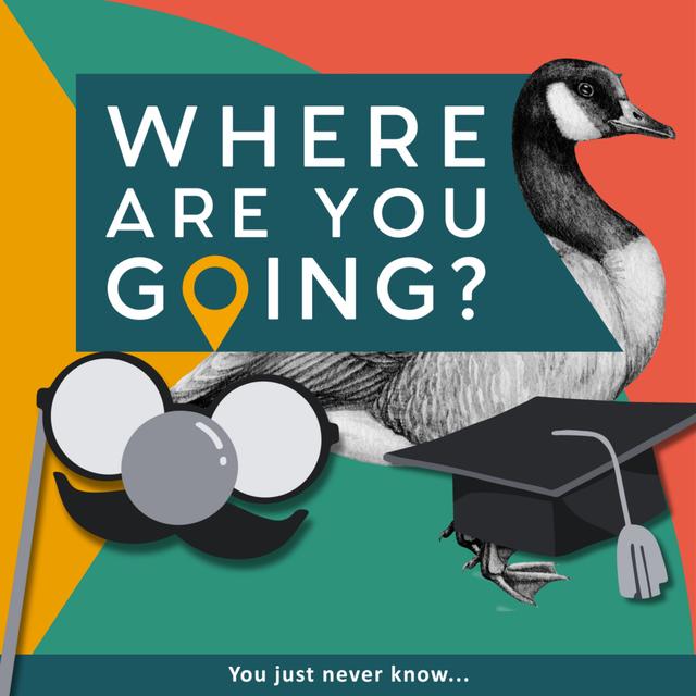 Some Geese, Some Students and a Clown - podcast episode cover