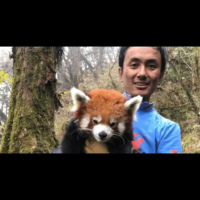 Episode 313: Sonam Lama, Conservation Manager w/Red Panda Network - podcast episode cover