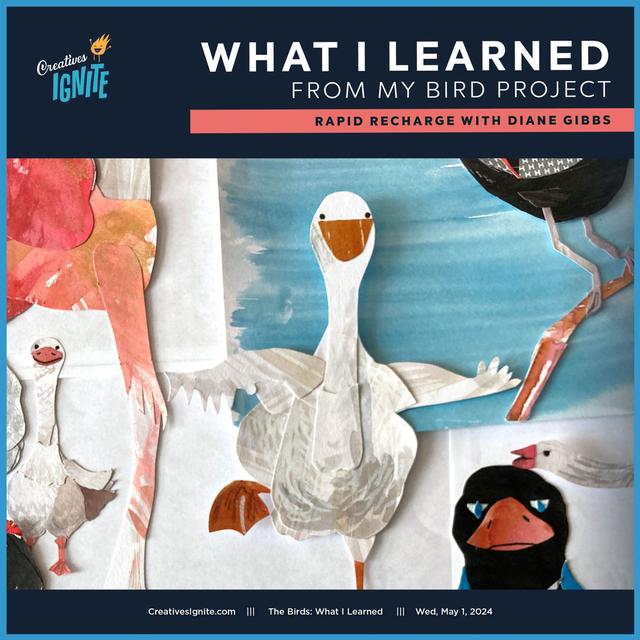 What I Learned from my Bird Project - podcast episode cover