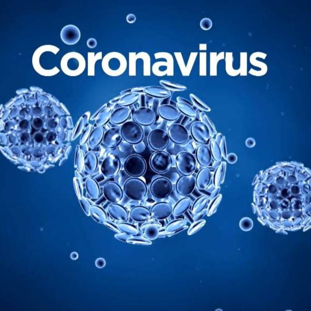 #290: The Coronavirus with Eddie Bravo and Dr. Shiva Ayyadurai - podcast episode cover
