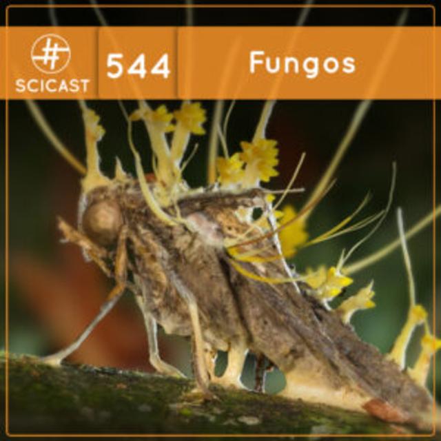 Fungos (SciCast #544) - podcast episode cover
