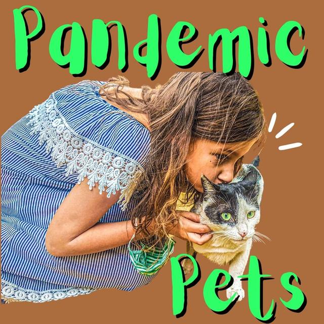 Pandemic pet craze, happiest country, sushi name-change, Rubik’s Cube shock - podcast episode cover