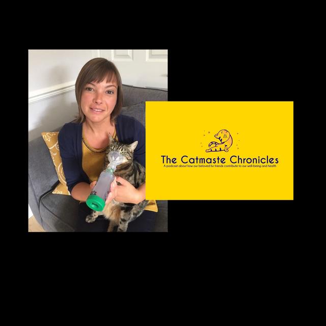 Donna Stead 'Heidi Kat and Feline Asthma' - podcast episode cover