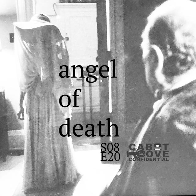 S08E20 - Angel Of Death - podcast episode cover