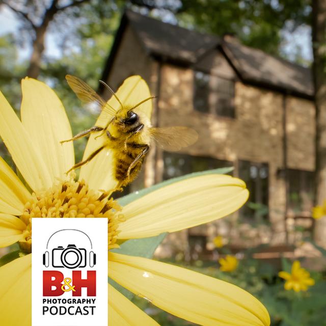Conservation Storytelling with Jaymi Heimbuch & Anne Readel - podcast episode cover