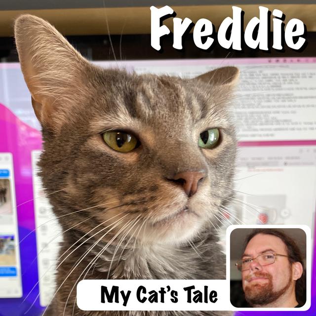 My Cat’s Tale: Freddie J Mercury - podcast episode cover