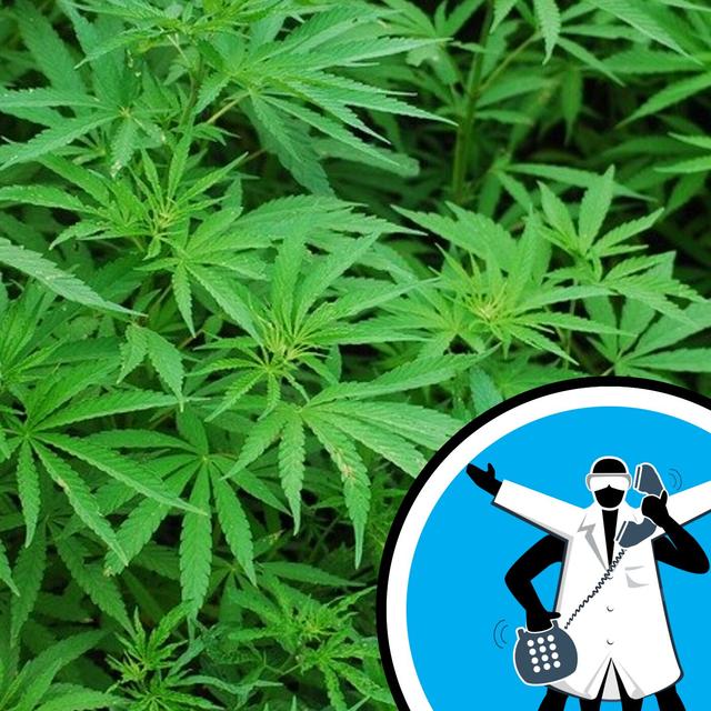 Do edibles hit you harder than smoking a joint? - podcast episode cover