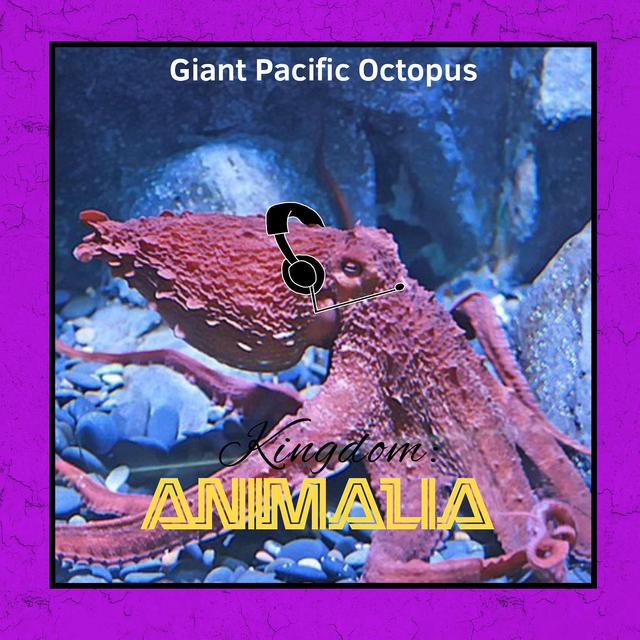 Giant Pacific Octopus - podcast episode cover