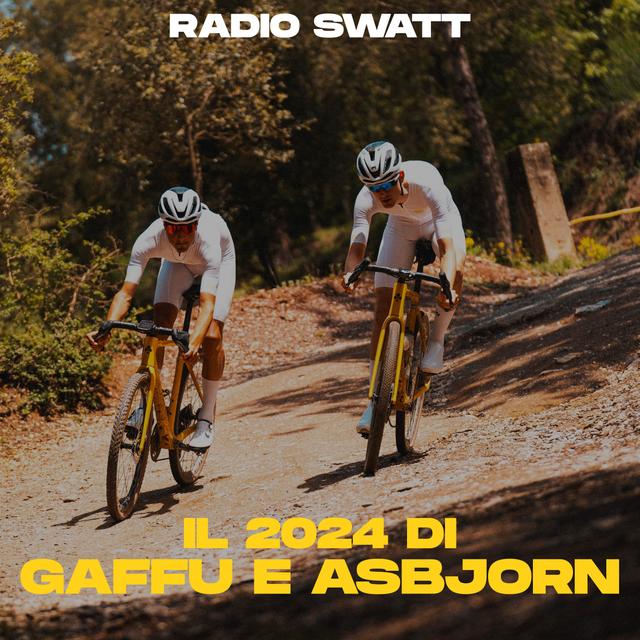Il 2024 di Gaffu e Asbjorn - podcast episode cover