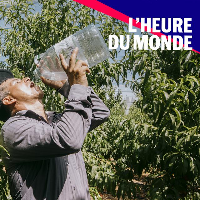 Réchauffement climatique : pourquoi l’objectif de 1,5 °C est désormais hors d’atteinte - podcast episode cover