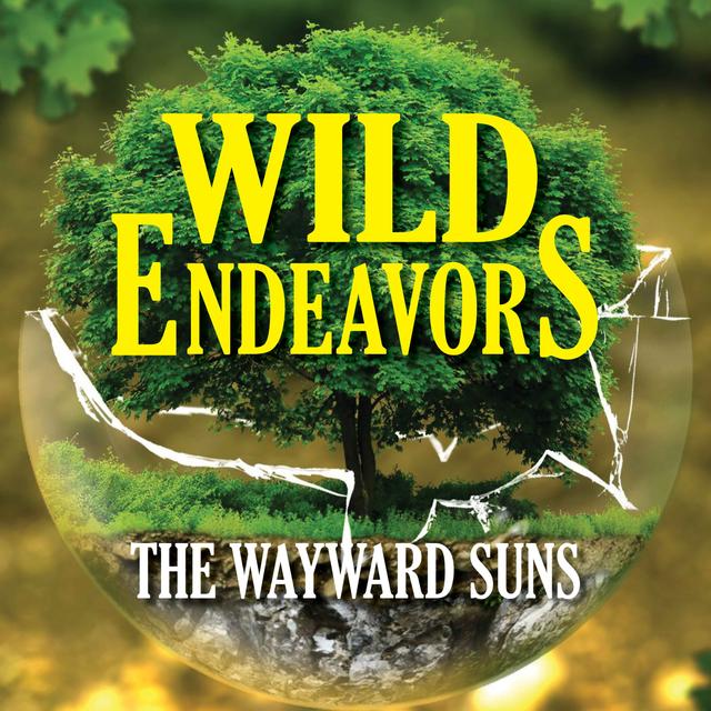 Wayward Suns – Ep.19 – Paladins and Liars - podcast episode cover