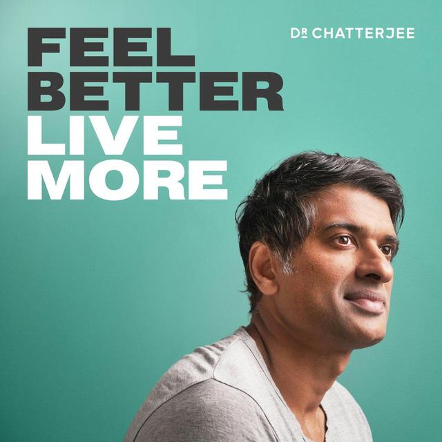 How To Heal Chronic Pain with Dr Howard Schubiner #310 - podcast episode cover