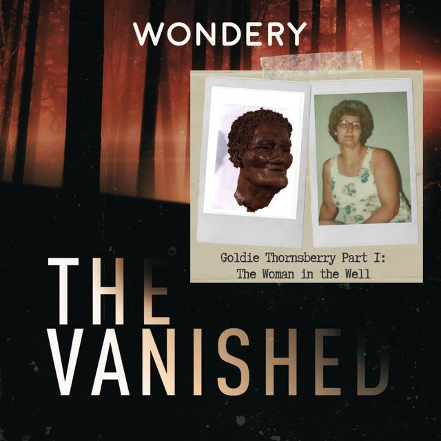 Goldie Thornsberry Part 1: The Woman in the Well - podcast episode cover
