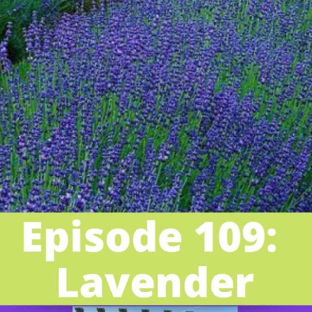 Lavender - podcast episode cover