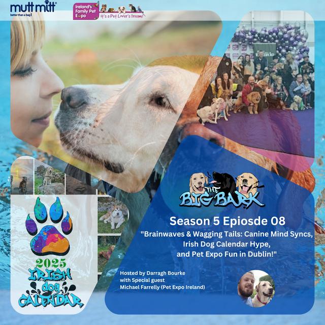 The Big Bark S05 E08 - Episode #85 "Brainwaves & Wagging Tails: Canine Mind Syncs, Irish Dog Calendar Hype, and Pet Expo Fun in Dublin!" - podcast episode cover