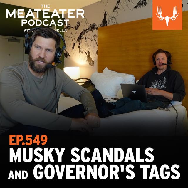 Ep. 549: Musky Scandals and Governor's Tags Get a Kick to the Nuts - podcast episode cover