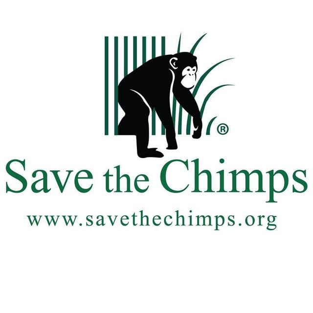 Episode 199: Save the Chimps Dr. Andrew Halloran - podcast episode cover