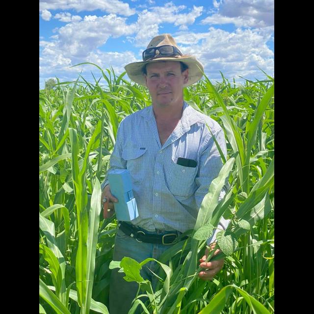 Episode 31: Creating non-negotiable synthetic free grazing systems with Dale Retschlag - podcast episode cover