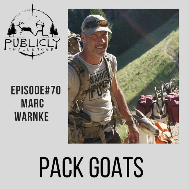 EPISODE#70-MARC WARNKE - podcast episode cover