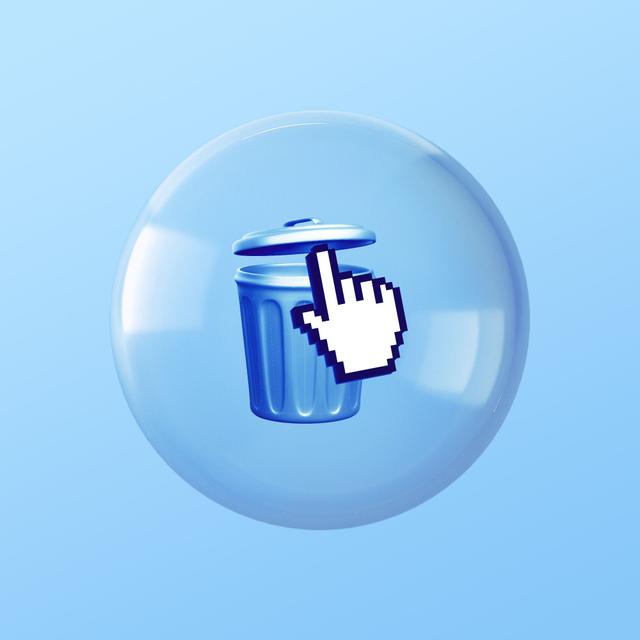 Can You Really Disappear Online? - podcast episode cover