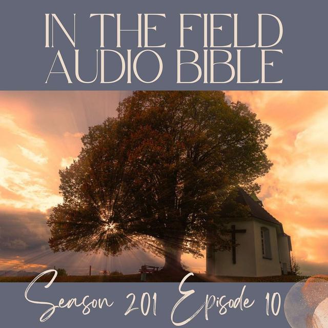 Ambassadors of Christ: Breaking Free from Earthly Limitations - podcast episode cover