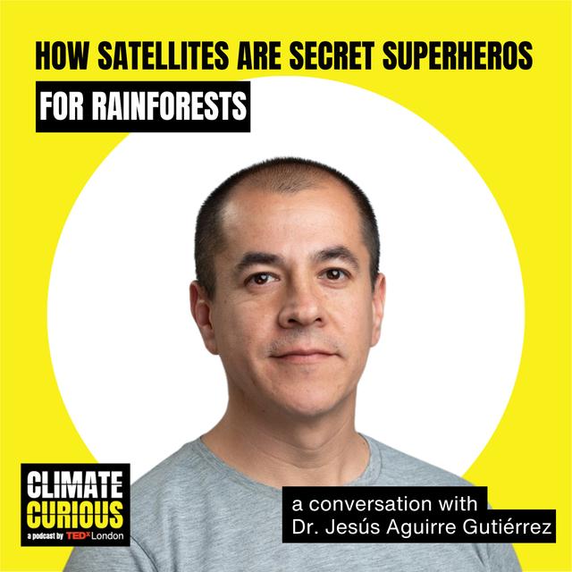 How satellites are secret superheroes for rainforests - podcast episode cover