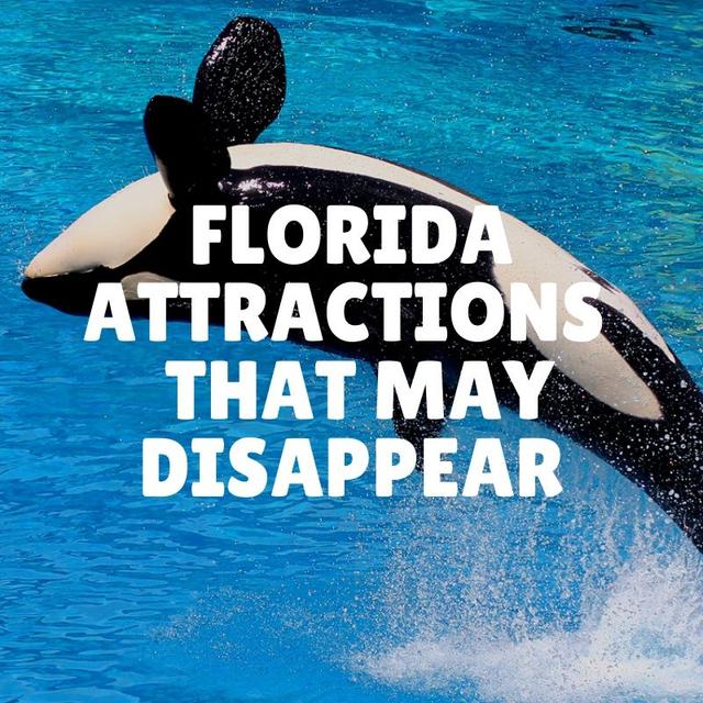 Florida Theme Park Attractions that may soon disappear  - podcast episode cover