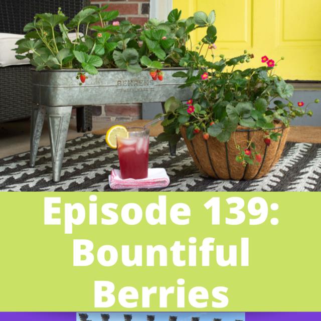 Bountiful Berries - podcast episode cover