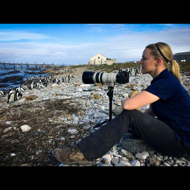 Episode 127: Wildlife Educator Stephanie Arne - podcast episode cover