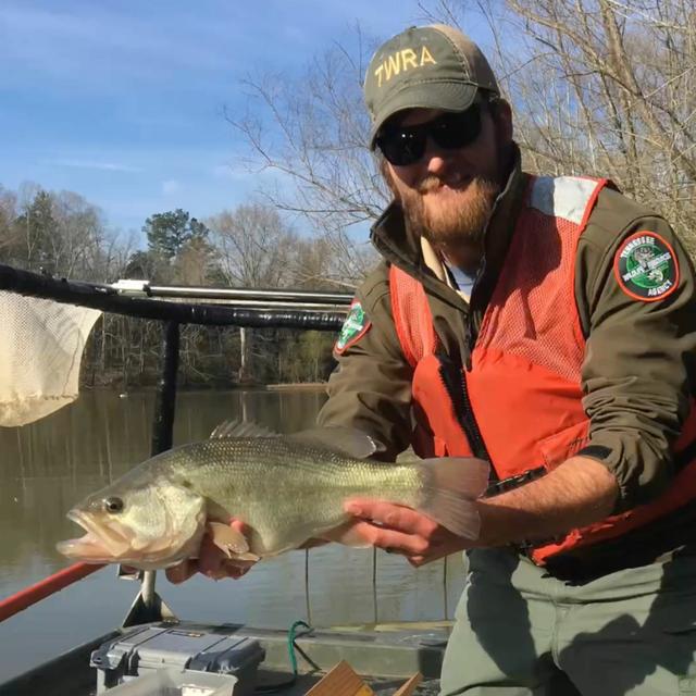 TW 335 -  2023 Fishing Season Dance Approved - podcast episode cover